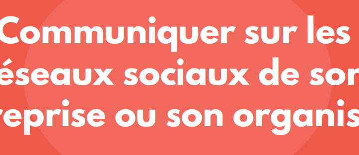 Formation sur la communication sur les réseaux sociaux par Nour Awaiss – Report de la formation