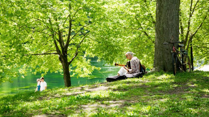 Fête de fin d’année : jusqu&rsquo;au 31 mai pour participer