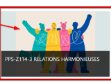 Nouvelle Grille d’Observation pour le Cours  » PPS-Z114-3 Relations harmonieuses »