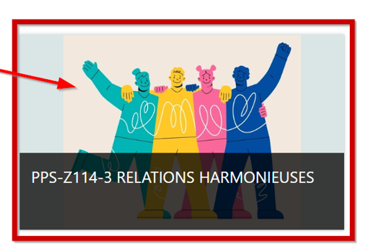 Nouvelle Grille d’Observation pour le Cours  » PPS-Z114-3 Relations harmonieuses »