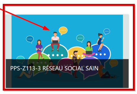 Nouvelle Grille d’Observation pour le Cours  » PPS-Z113-3 Réseau social sain « 