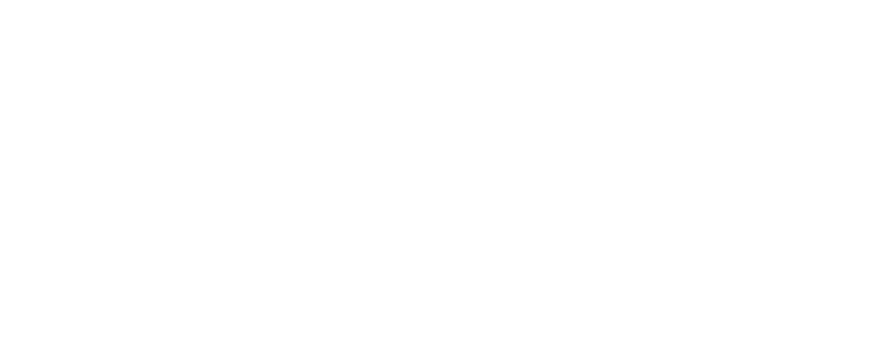 LA SECTION OFFICIELLE DE NOS PARTENAIRES